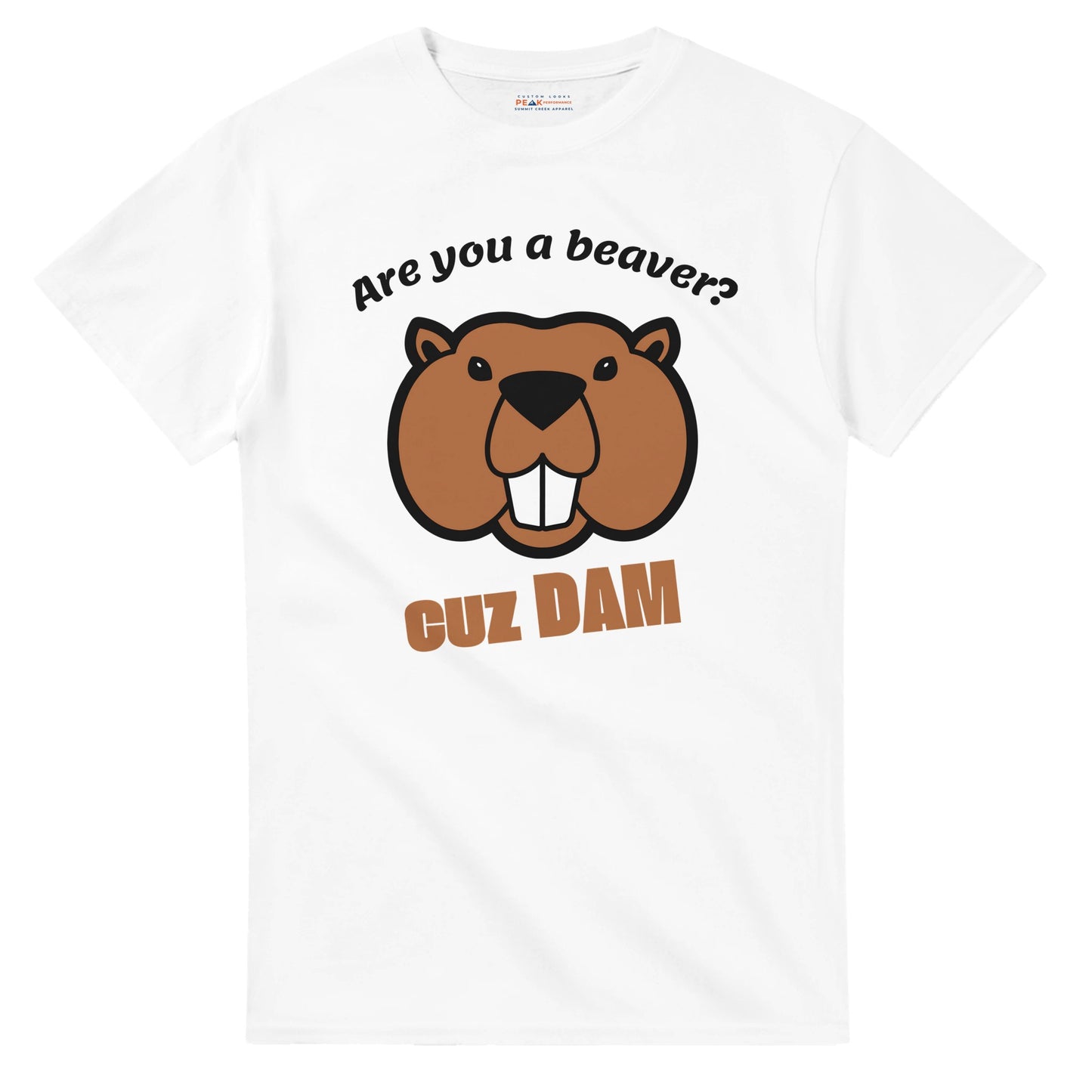 e0065296-1549-49a1-a6bc-9038d256c39e